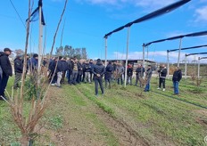 La visita tecnica di campo in un giovane impianto di kako