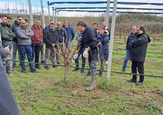 Vito Vitelli esegue una dimostrazione di potatura 