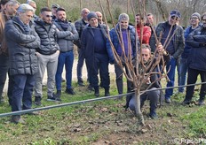 Un produttore effettua una potatura su kaki  a partire dalla propria esperienza su richiesta di Vito Vitelli