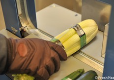 facettatrice della Multi Import