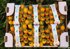 Cassetta di datterino giallo. Una colorazione abbastanza diffusa, ma non tutte le varietà hanno un profilo gustativo di alto livello.