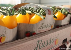 Dettaglio di un cestino di datterino colorato, incassettato.