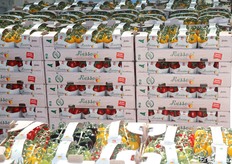 Pedane in partenza per il nord Italia.