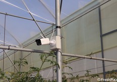 Videosorveglianza. La sicurezza non è mai troppa!