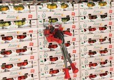 Un giro di reggetta per completare "in sicurezza" una pedana di datterini rossi, gialli e verdi.