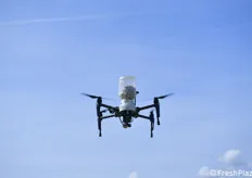 Drone per distribuire insetti utili in capsule