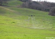 Si nota bene l'area irrorata, con un'ampiezza massima di copertura consigliata di 6-7 metri