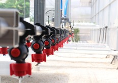 Barra d'irrigazione per vivai