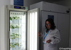 Camera di crescita utilizzata da Nsg per trattamenti di termoterapia di materiale vegetale; per la crescita di espianti particolarmente sensibili; per colture in mezzi liquidi.