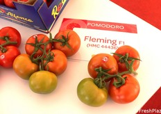 Fleming F1 insalataro