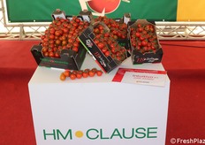 Il ciliegino Intuitivo F1