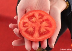 Un frutto di Fleming F1 mostra la sua polpa carnosa