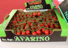 Datterino HMC44464 F1 in cassetta di cartone