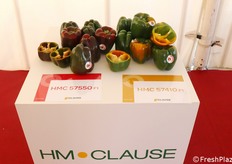 Peperoni HMC 57550 F1 e HMC 57410 F1 