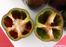 Un peperone HMC 57550 F1 tagliato in due