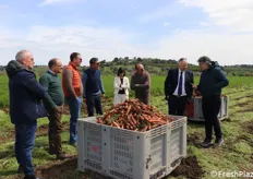 La visita in campo ha fornito l'occasione agli intervenuti di vedere dal vivo come si cava la carota.