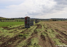 Bins a margine del campo