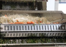 Fase di lavaggio del prodotto