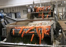 Fase di lavaggio del prodotto