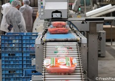 Una parte del prodotto viene confezionato in vaschette