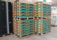 Pedane pronte per la partenza