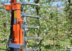 Particolare dei braccetti e del filo 