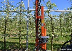 Si adatta sia a pomacee che a drupacee