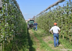 Dopo il passaggio della macchina vi è almeno un 40% di fiori in meno