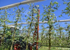 E' possbile variare la velocità dei fili attraverso un comando posto nel trattore 