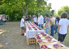 La Vivai Battistini ha organizzato, giovedì 6 giugno 2024 a Casemurate (Ravenna) una mostra pomologica con oltre 60 campioni in esposizione. Esposti campioni di albicocche, pesche, nettarine e ciliegie in produzione da metà maggio al 6 giugno (fotoservizio Cristiano Riciputi) 