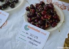 Altra selezione di origine francese