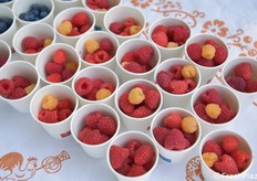 Come merenda agli intervenuti, mix di lamponi dai campi prova Battistini