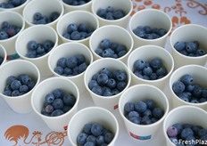 Come merenda agli intervenuti, mirtilli dai campi prova Battistini