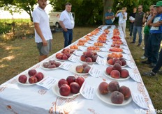 Campioni in esposizione
