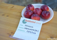 Varietà di nettarina non sempre buona dato il periodo, ma precocissima