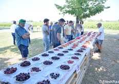 Campioni in esposizione