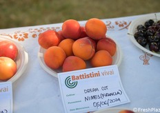 Varietà recente in fase di valutazione