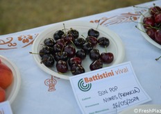 Novità proveniente dalla Francia