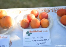 Una selezione in verifica