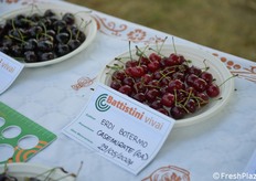 Una varietà segnalata per il buon sapore