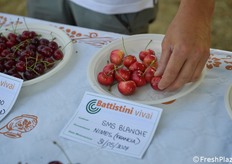 Anche le ciliegie bicolori hanno una certa nicchia di interesse