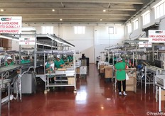 Linee di lavorazione per il pomodoro a marchio IGP di Pachino