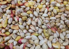 Pistacchio smallato. Adesso deve asciugare per poi essere inviato agli stabilimenti industriali di trasformazione del Gruppo Anastasi