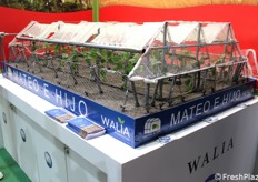 Il progetto Walia della spagnola Mateo E Hijo per una serra con chiusure automatiche e teli Aniplast. Walia è un innovativo sistema di gestione delle serre che consente agli agricoltori di controllare l'ambiente di coltivazione da qualsiasi luogo, attraverso un'applicazione mobile di facile utilizzo.