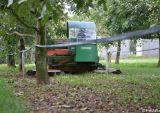 La spazzolatrice che raccoglie e aspira le noci 