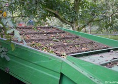 Il nastro trasportatore