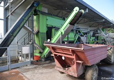 In stabilimento per la selezione e essiccazione 