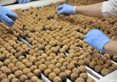 Ulteriore selezione a mano 