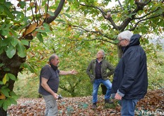 Musolesi, Panzacchi e Trentini 