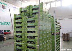 Pedana in procinto di essere completata per partire verso il nord Italia